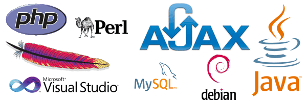 picture of web software - ajax, sql, java, visual studio